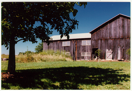 barn1[1]